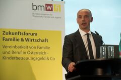 Prof. Dr. Dr. Helmut Schneider präsentiert die Ergebnisse der Studie in Wien. Foto: BMWFJ/HBF/Roman Icha
